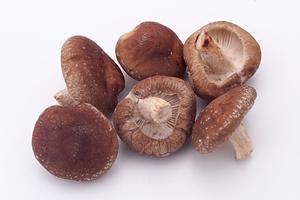 岡山県津山市の地域に愛されるお弁当屋さん「つるや」の魅力と店舗情報