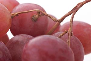 恵比寿エリアで楽しめるシーシャカフェの魅力とおすすめポイント