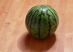 外苑いちょう並木にあるシェイクシャック: アメリカの味を楽しむスポット