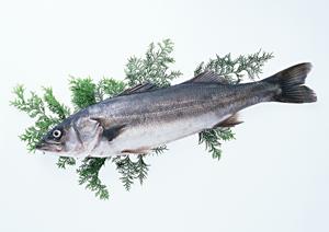 海浜幕張で楽しむ絶品居酒屋:大衆酒場 ムロヒガシの魅力と詳細情報