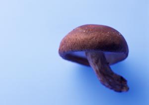 世界のビール博物館 大名古屋ビルヂング店 – 新たなビール体験を提供する場所