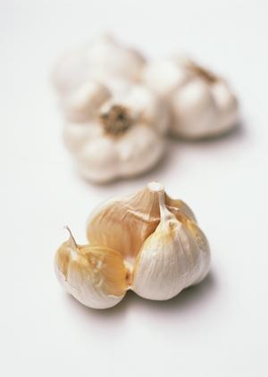 東京で水タバコを手軽に楽しめるお店です