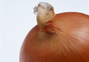 イベント用のお菓子の袋詰めができる店